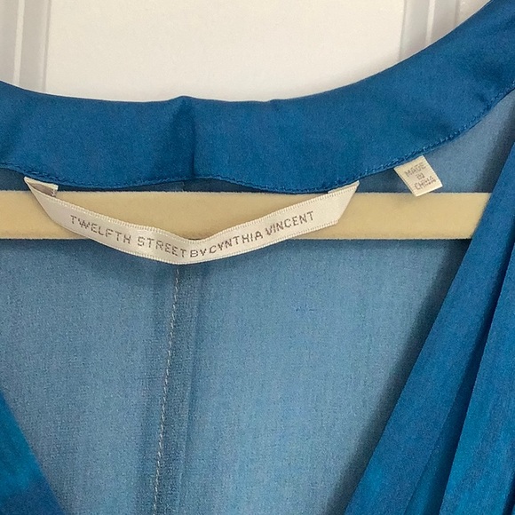 Twelfth Street By Cynthia Vincent high low silk dress - Picture 3 of 9